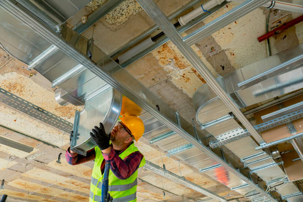 Best HVAC air duct cleaning  in Rensselaer, IN